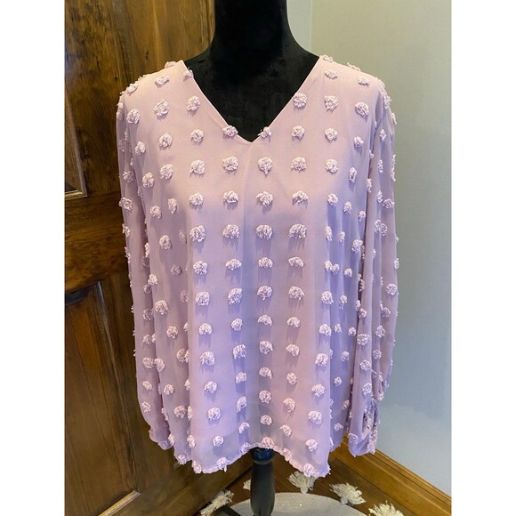Forgotten Grace Dusty Rose Pink Long Sleeve V Neck Pokadot Size 1X Top Blouse - Picture 2 of 10